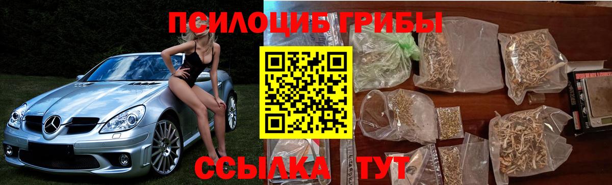 Псилоцибиновые грибы прущие грибы  наркота  Псков  Вход с VPN  Галлюциногенные грибы GOLDEN TEACHER 